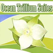 Condo Rentals in Daytona Beach - Ocean Trillium Suites